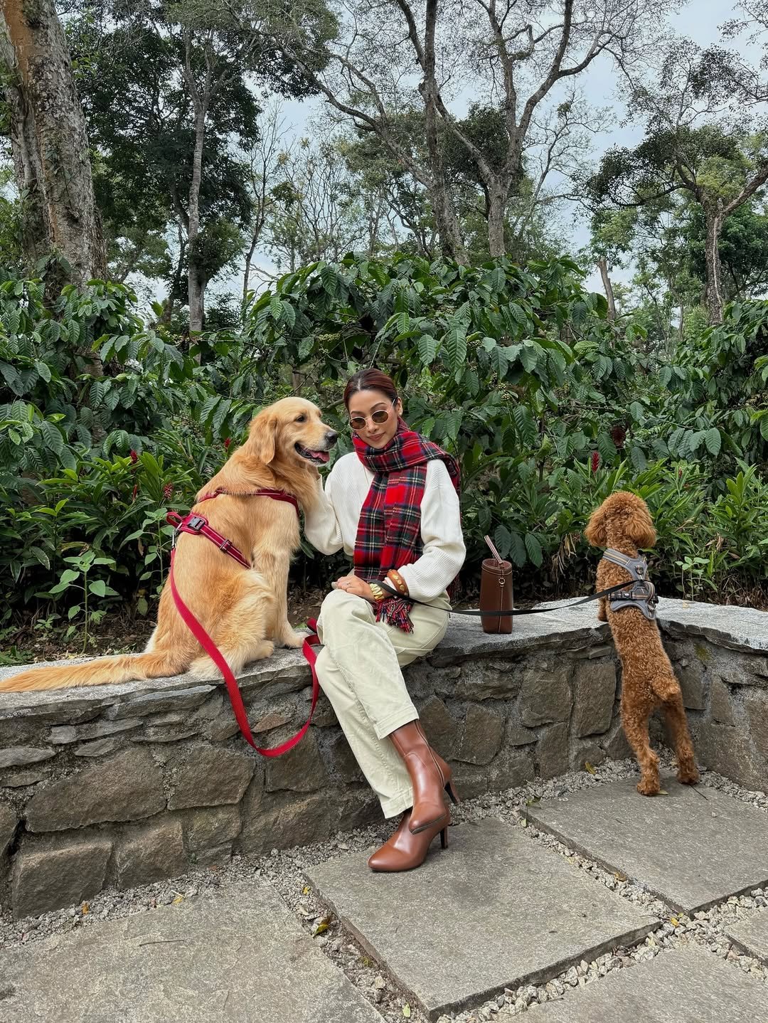 Photo by Isha Borah on December 07, 2025. May be an image of golden retriever, cocker spaniel, park and text.