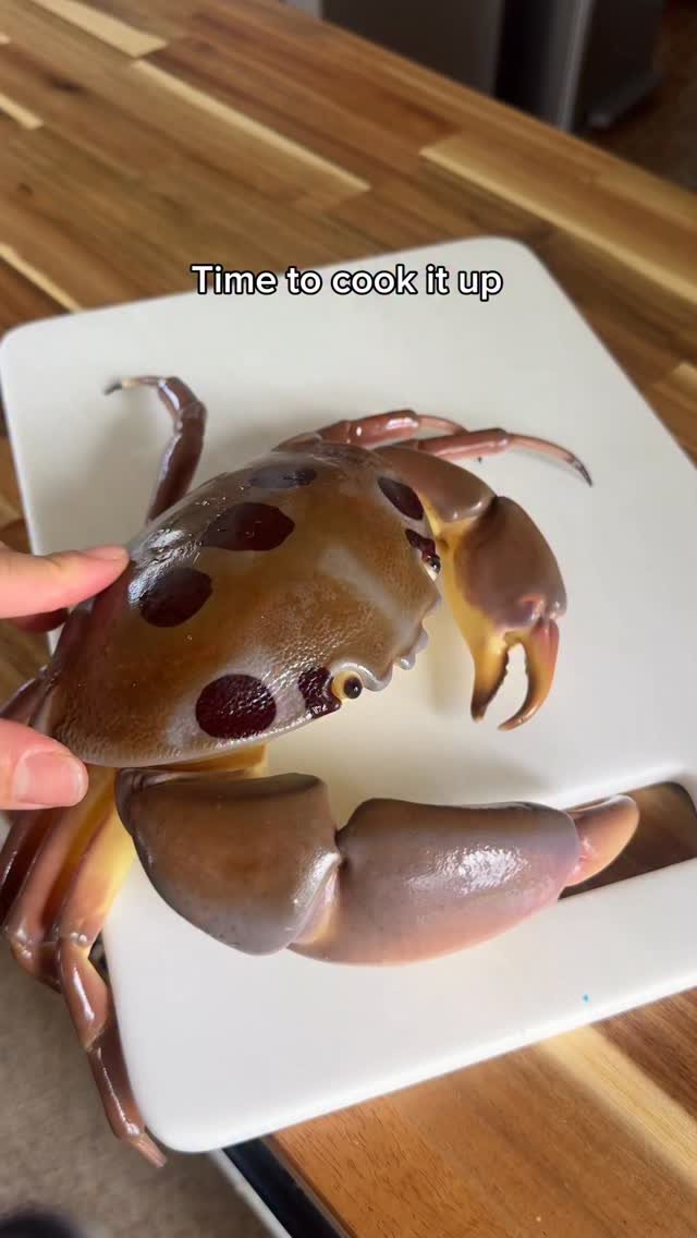 islandcatchandcook 게시물 이미지: Cooking up Mr Krabs 

#catchandcook #asmr...