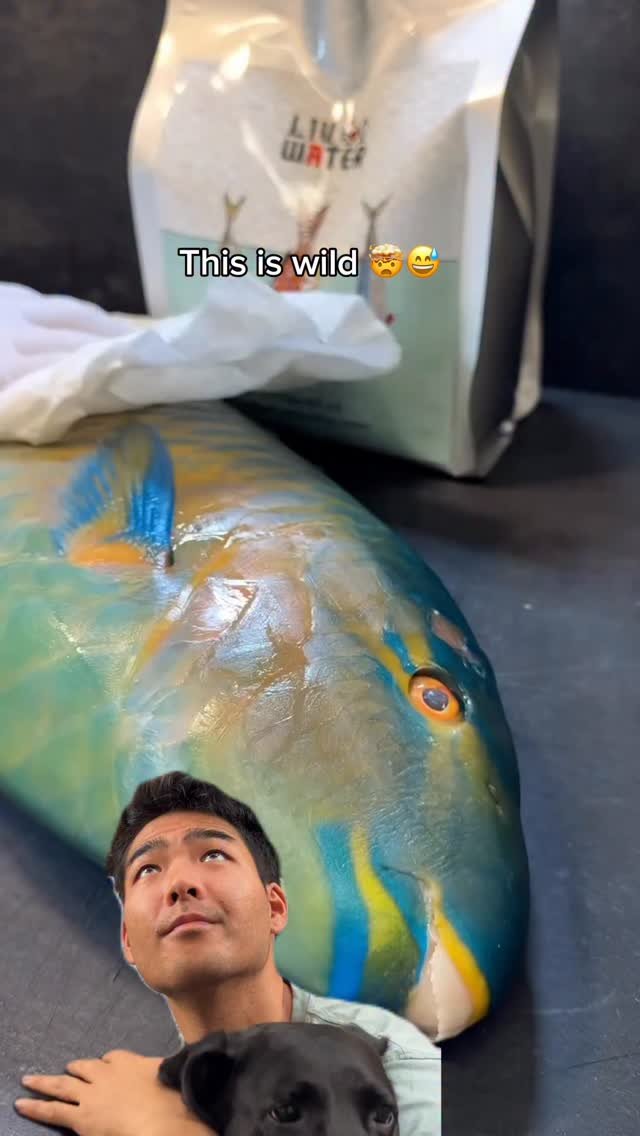 islandcatchandcook 게시물 이미지: This is next level stuff 👨‍🔬🧪...