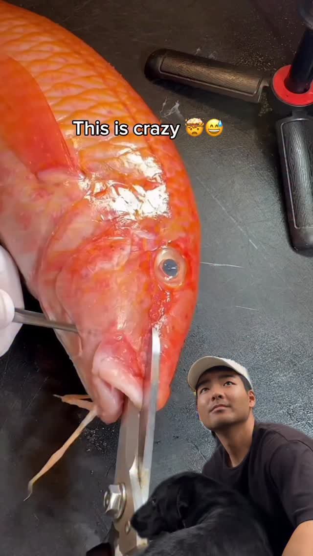 islandcatchandcook 게시물 이미지: This was a crazy dish! @papachelfishcooking...