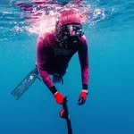 jason808roots 프로필 사진