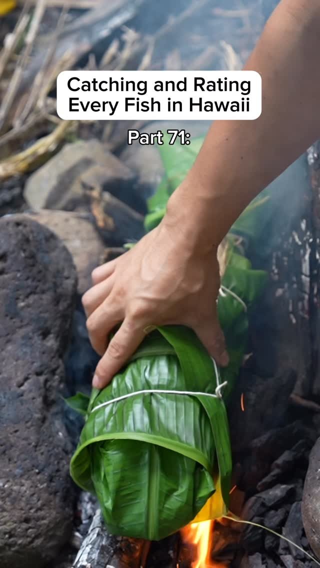 islandcatchandcook 게시물 이미지: Epic catch and cook from Mauka to Makai with...