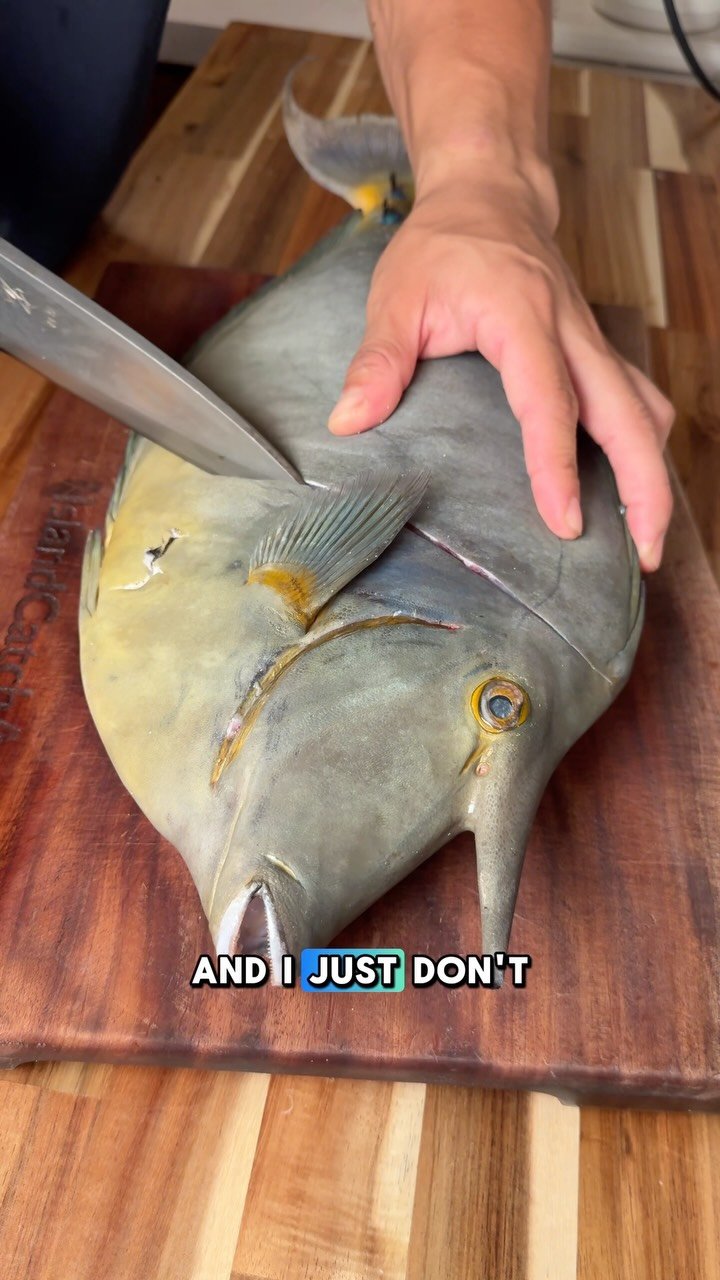 islandcatchandcook 게시물 이미지: Do you think trash fish exists or just bad...