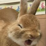 humor.zzar 프로필 사진