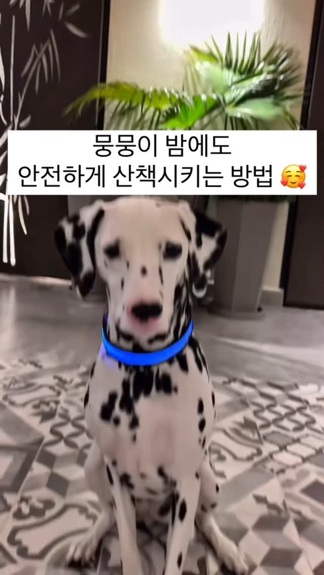 itemstore_dd 게시물 이미지: 댓글에 ’링크‘라고 달아주세요.
DM으로 링크 보내드리겠습니다.
주의하셔야 할...