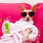 zoom__tv 프로필 사진