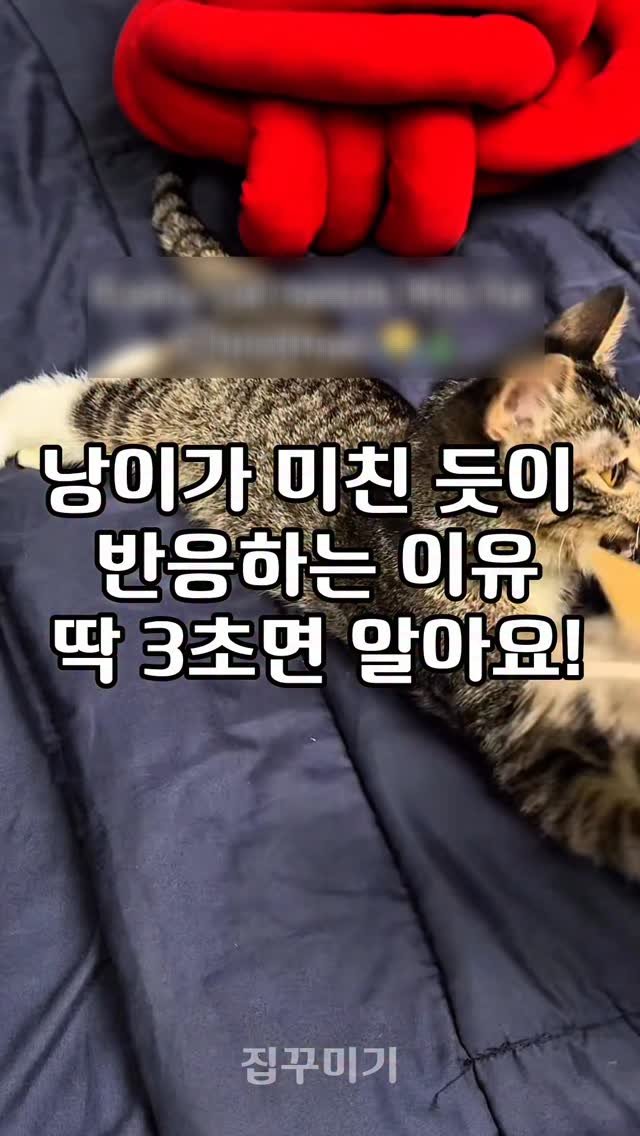 itemstore_dd 게시물 이미지: 댓글에 ’링크‘라고 달아주세요.
링크 보내드리겠습니다.
주의하셔야 할...