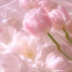 yooun_yebibn 프로필 사진