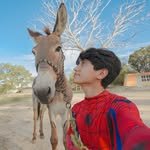 wilson_alcaraz 프로필 사진