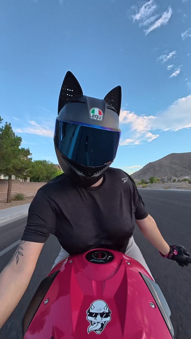itskarlianne 게시물 이미지: hop on the back?😽…
•
•
•
#bike #biker...