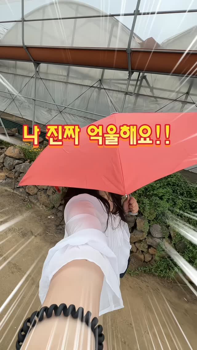 itsmatdory 게시물 이미지: 제주도 오면 다들 말차 맛집 간다는데
뚜벅이인 저는 결국 한 군데도 못...