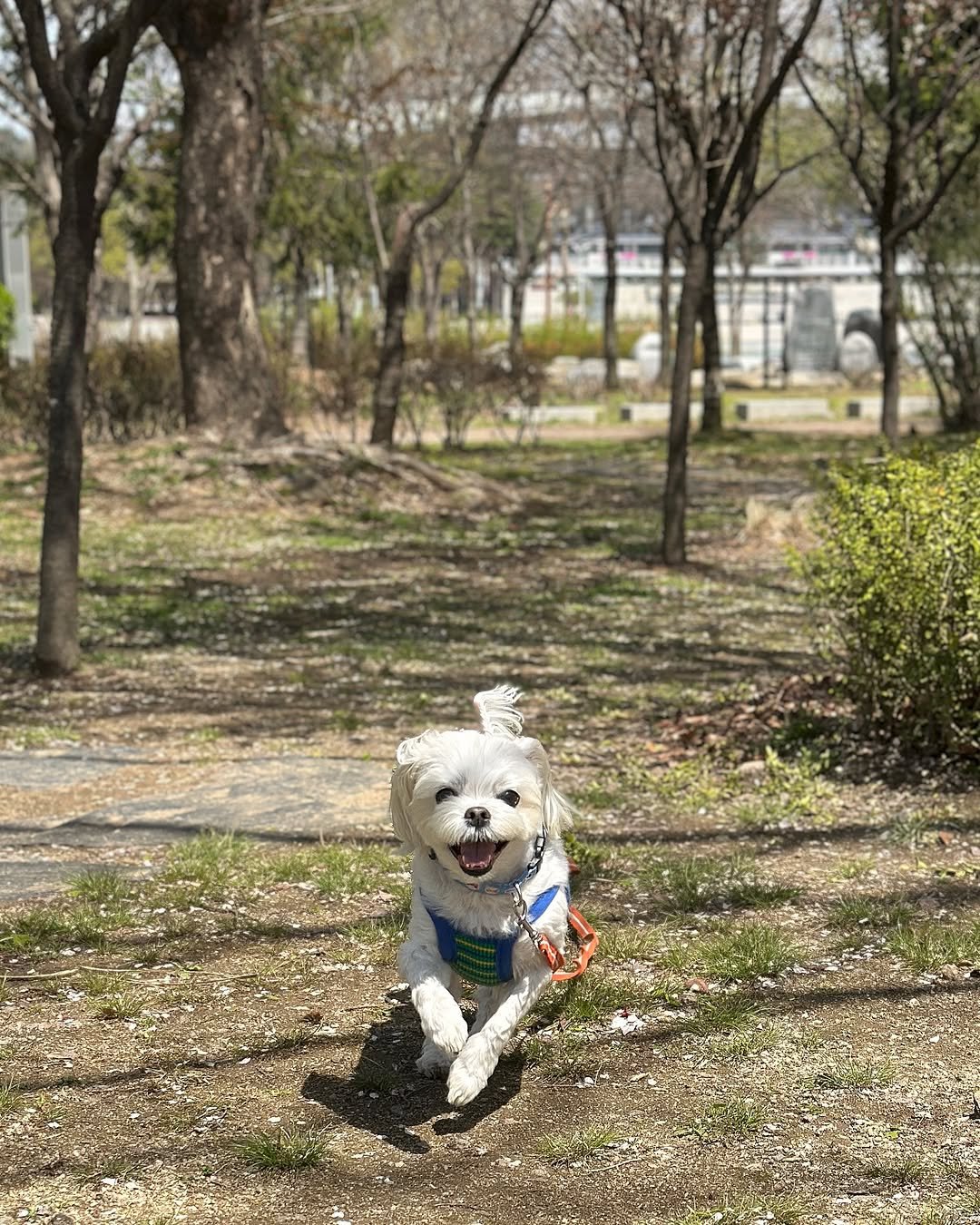 Photo by 만두૮ . ̫ . ა ྀིྀིྀིྀིྀིྀིྀ on April 15, 2025.