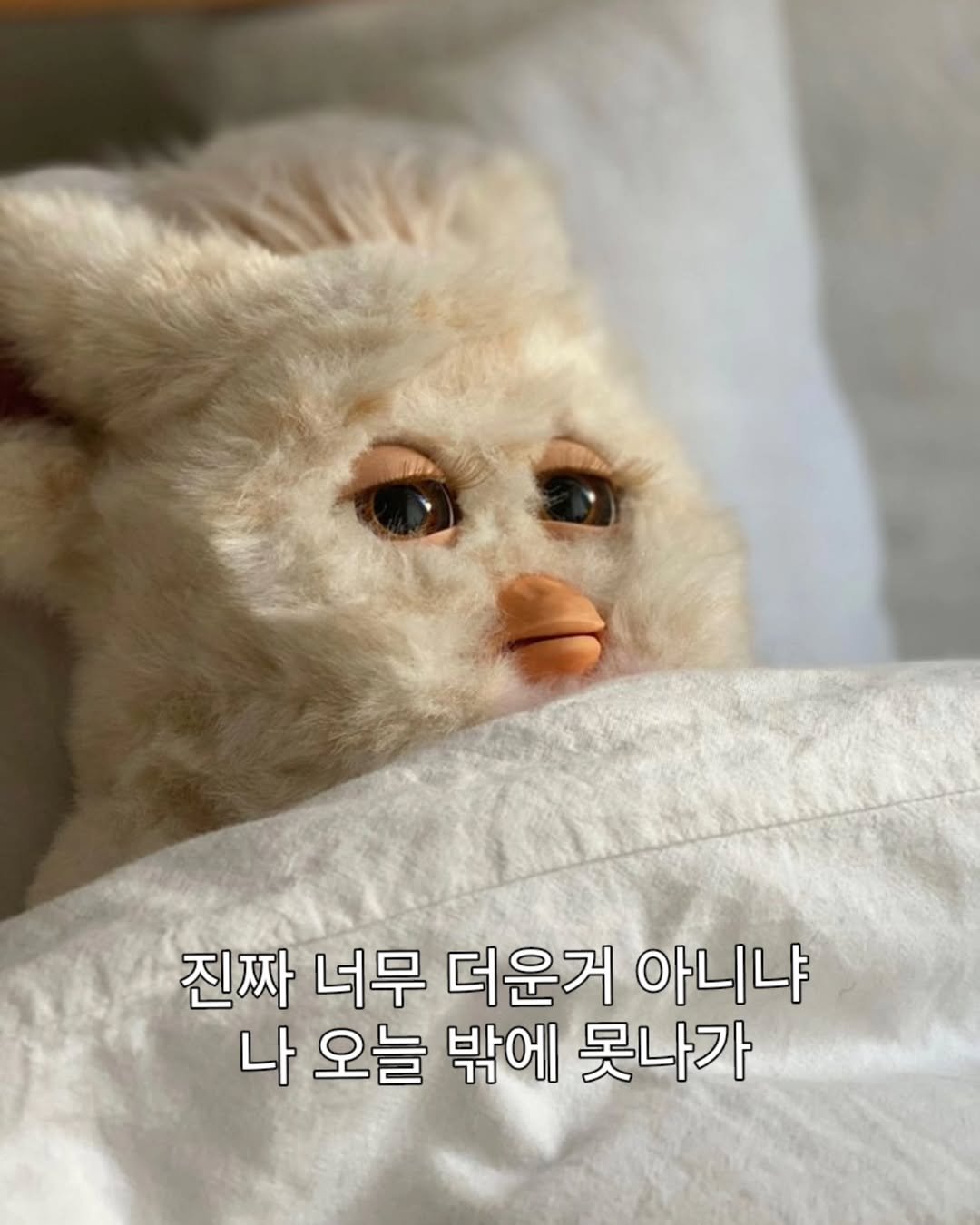 Photo by 이태이(tae) | Wellness creator on July 01, 2025. May be an image of slow loris, toy and text that says '진짜 너무 더운거 아니냐 나 오늘 밖에 못나가'.