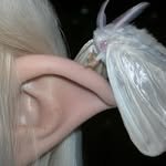 xizexx 프로필 사진