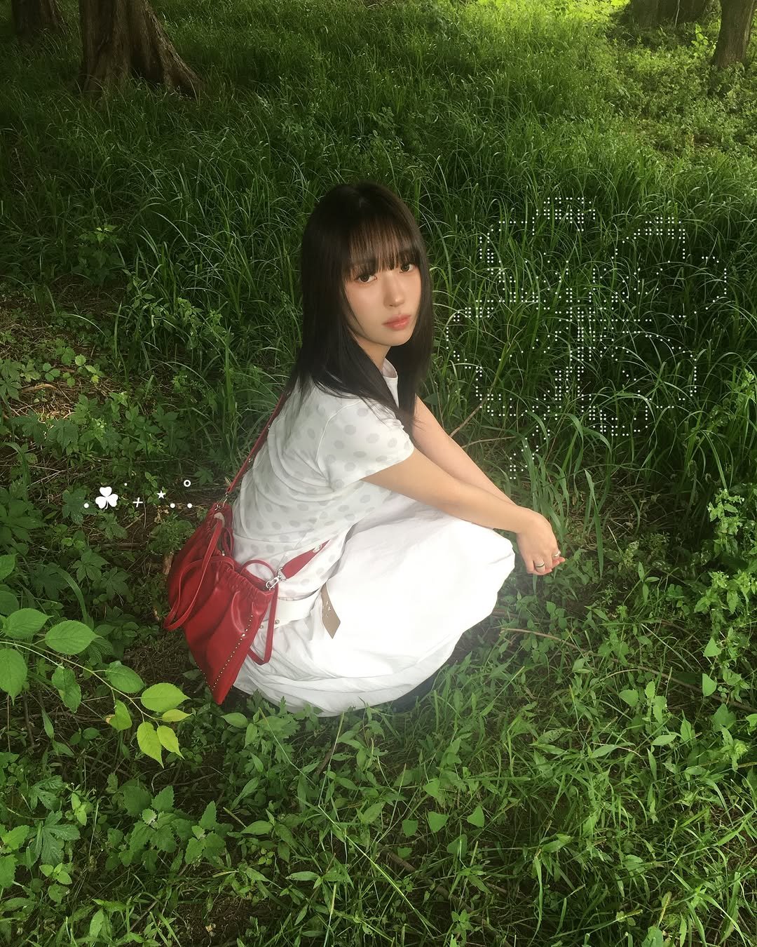 Photo shared by 믾의 minhee on June 04, 2025 tagging @partimentowomen. May be an image of white lily and grass.
