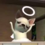 ddub.__.ni 프로필 사진