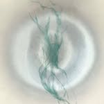 mul_geuneul.tt 프로필 사진