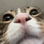 gangsansam 프로필 사진