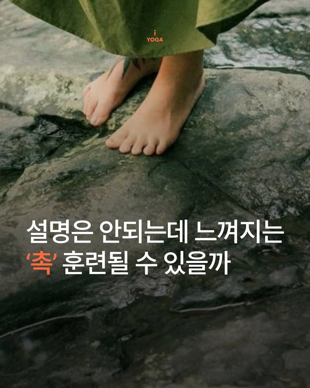 iyoga.official 게시물 이미지: 의식보다 빠른 무의식 ’촉‘
훈련될 수 있을까?

우리가 흔히 ‘쎄-하다’...