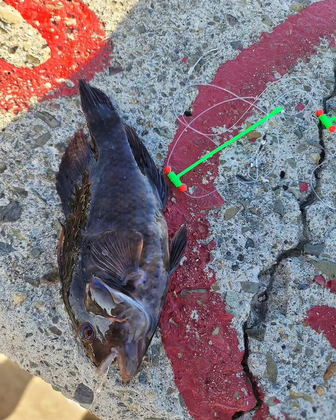 Photo by 장진환 on June 17, 2023.