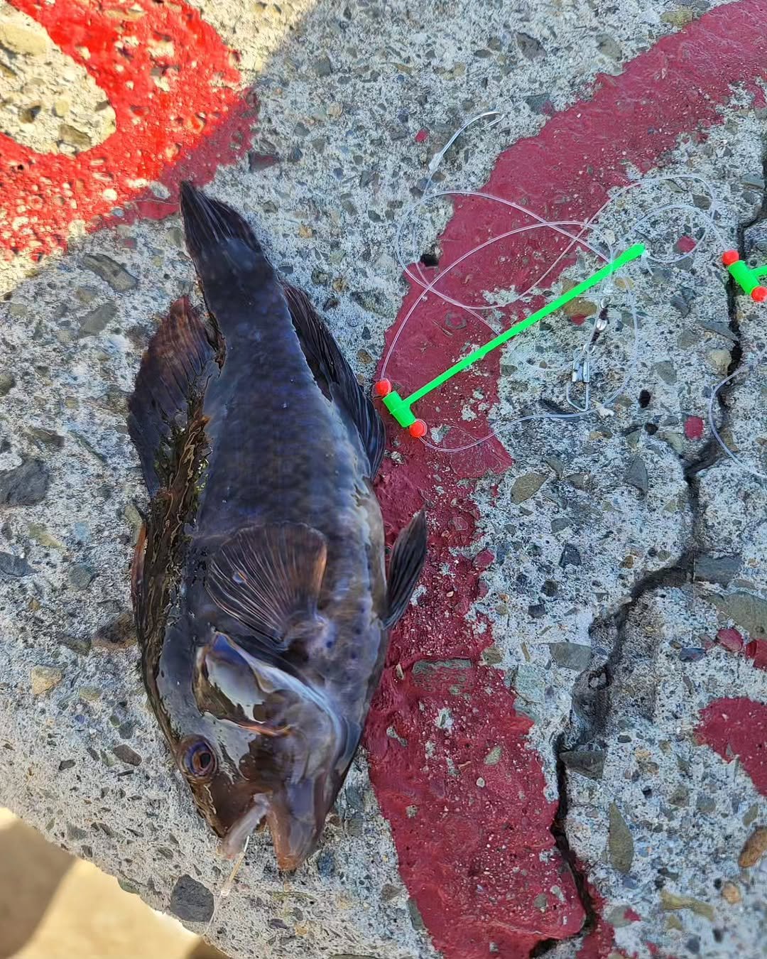 Photo by 장진환 on June 17, 2023.