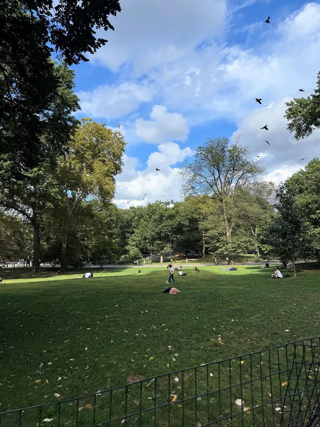 Photo by 정채연 on October 14, 2025. May be an image of grave stone, grass, tree, park and text.
