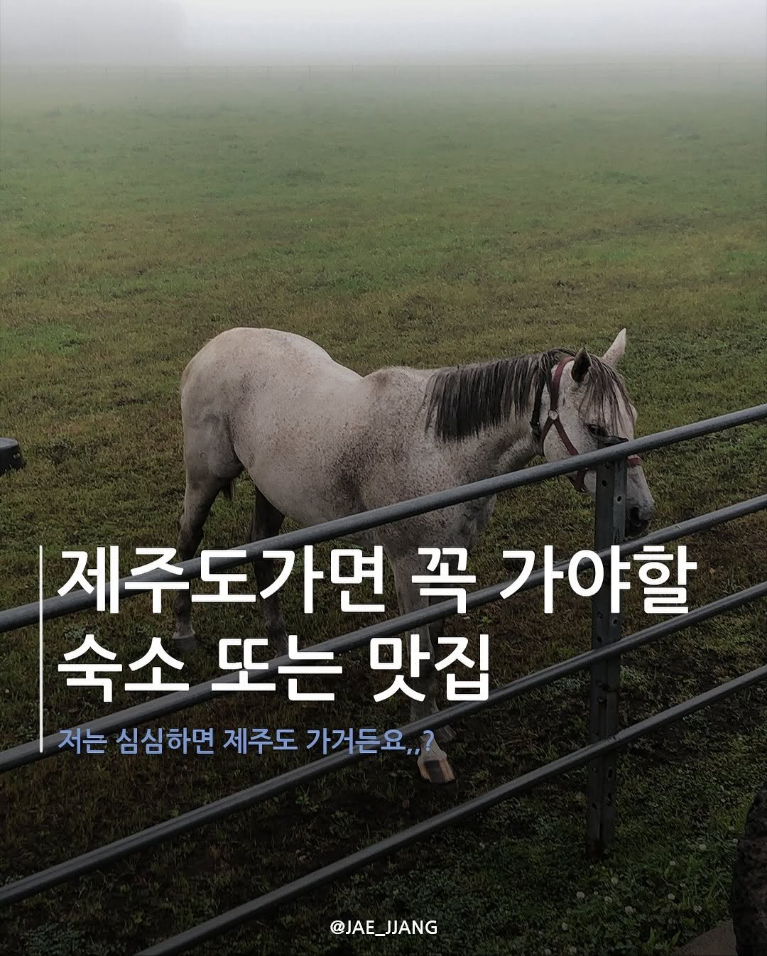Photo by 재짱 on September 19, 2025. May be an image of text that says '제주도가면 꼭 가야할 숙소 또는 맛집 저는 심심하면 심심하면 제주도 가거든요,,? @JAE_JJANG @JAE'.
