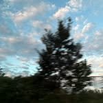 rlaalls 프로필 사진