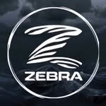 zebramats_korea 프로필 사진