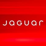 jaguar 인스타그램 프로필 사진