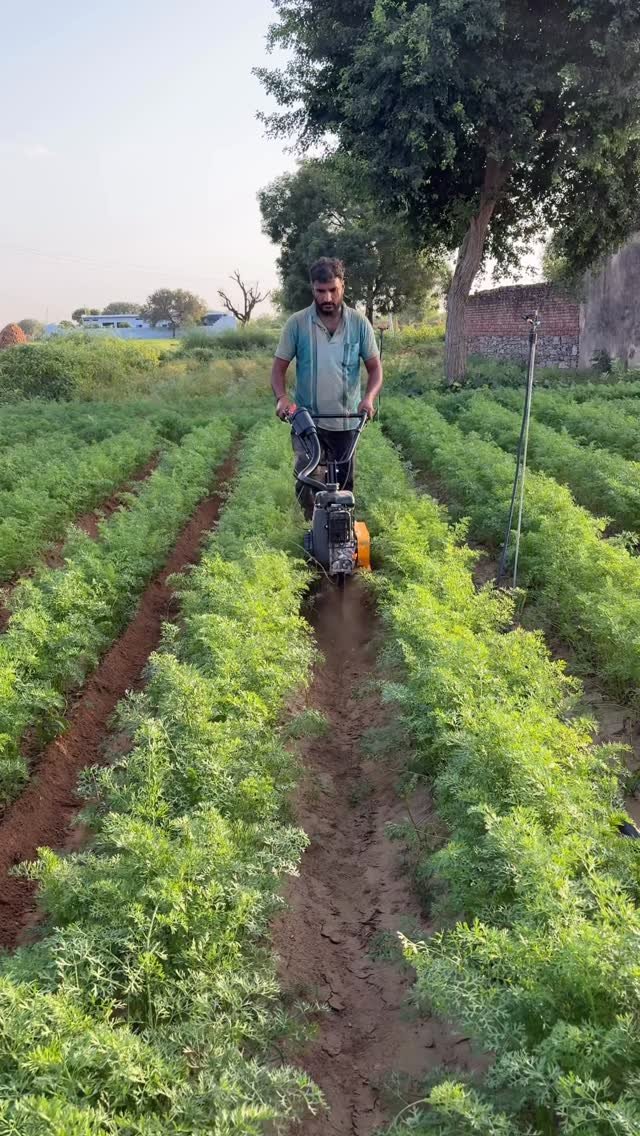 jaihindagriculture 게시물 이미지: लहराएगी आपकी फसल इस मशीन से #agriculture...