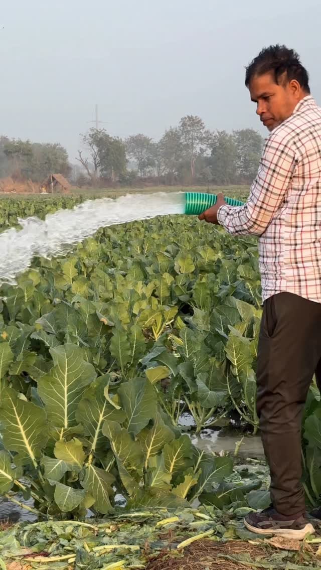jaihindagriculture 게시물 이미지: खेती में सिचाई का शानदार वाटर पम्प...