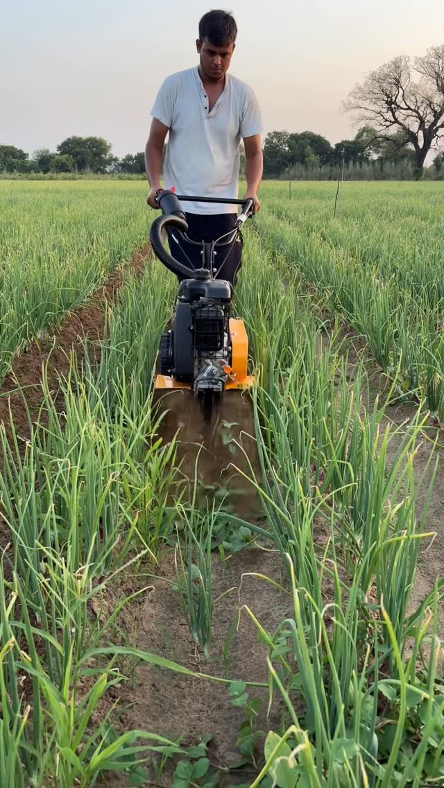 jaihindagriculture 게시물 이미지: धमाल मचाएगी ये मशीन प्याज गाजर और सब्जियों मैं...