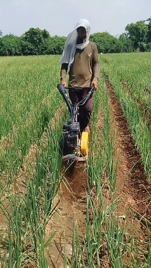 jaihindagriculture 게시물 이미지: प्याज और गाजर के किसानो के लिए बड़ी काम कि...