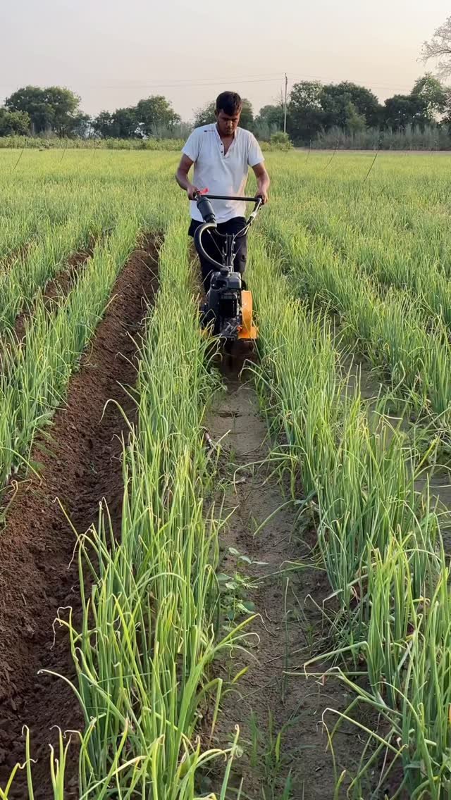 jaihindagriculture 게시물 이미지: सब्जीयो में कुछ बड़ा कमाना है तो ले आए आधुनिक...