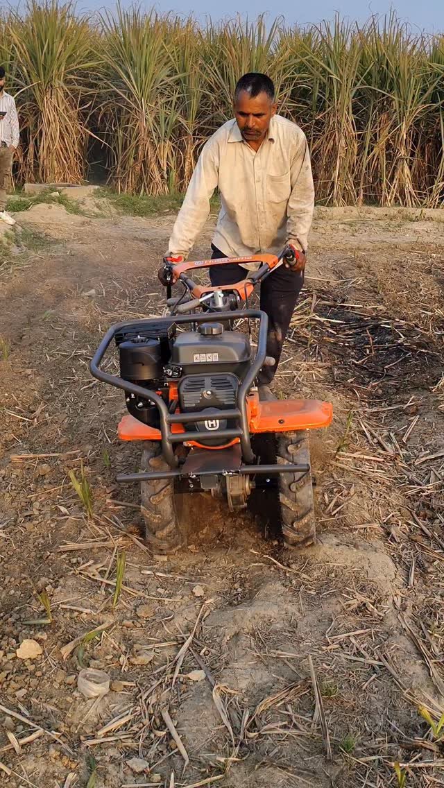 jaihindagriculture 게시물 이미지: दुनिया की सबसे शानदार गन्ना बागवानी सब्जियों...