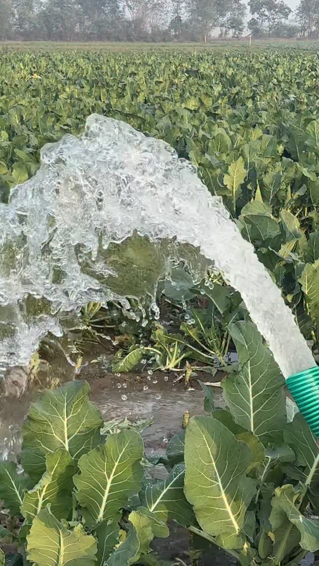 jaihindagriculture 게시물 이미지: किसनो के काम आने वाला शानदार सिंचाई करने वाल वाटर पम्प