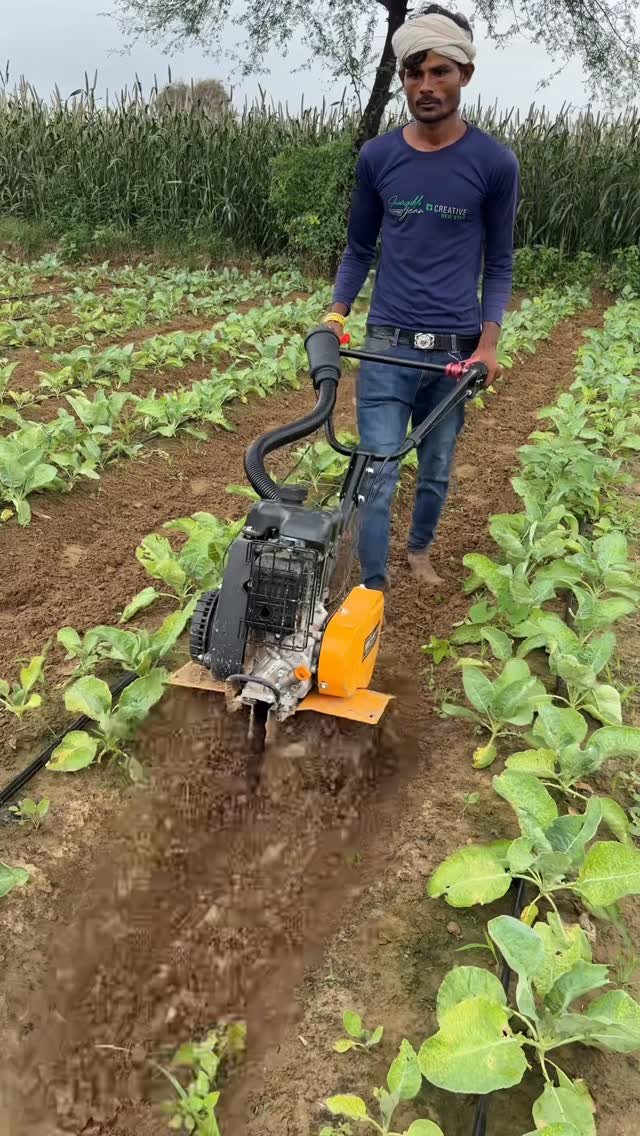jaihindagriculture 게시물 이미지: सभी प्रकार कि सब्जियों बागवानी खेती के काम में...