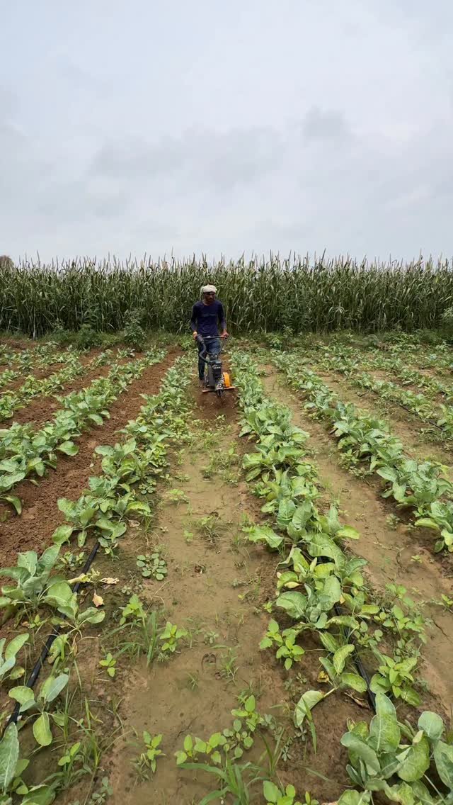 jaihindagriculture 게시물 이미지: देश के सभी किसानो की जरूरत है ये मशीन...