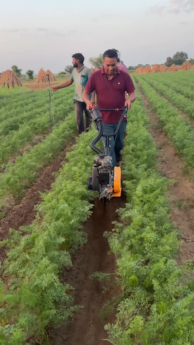 jaihindagriculture 게시물 이미지: गाजर प्याज गोभी और सभी सब्जियों खेती बागवानी...