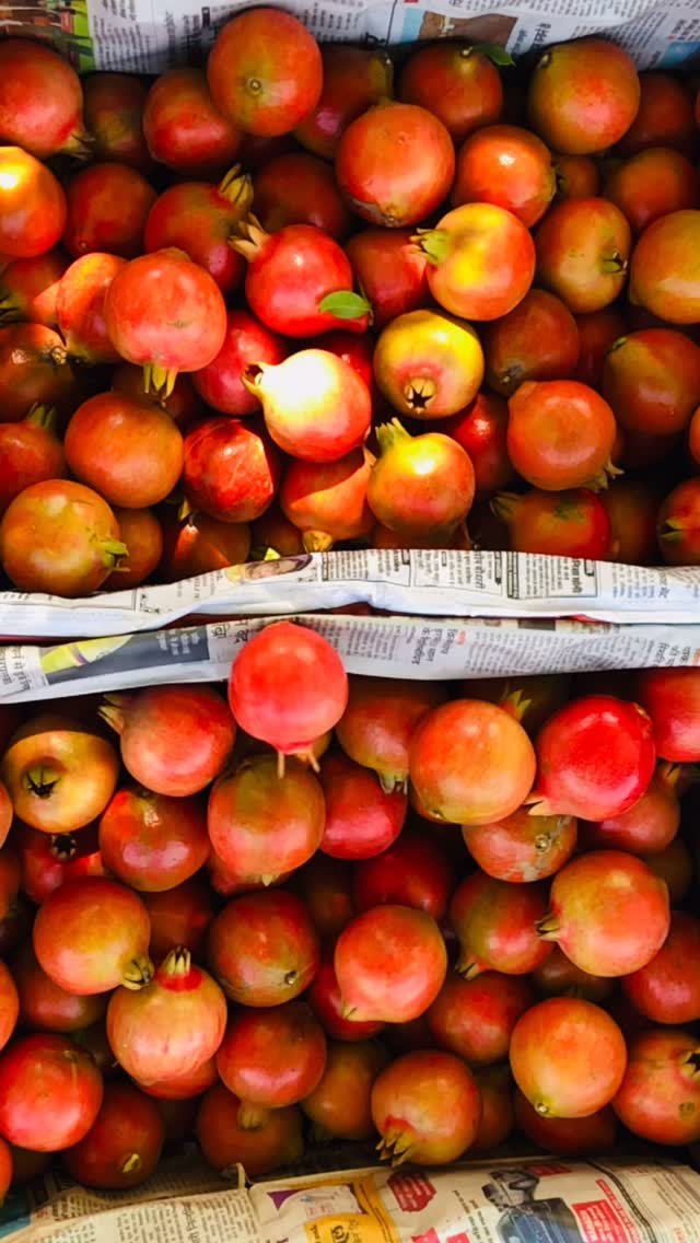 jainirrigation_ 게시물 이미지: Sowing strength, growing sweetness 🌿✨
Jain TC...