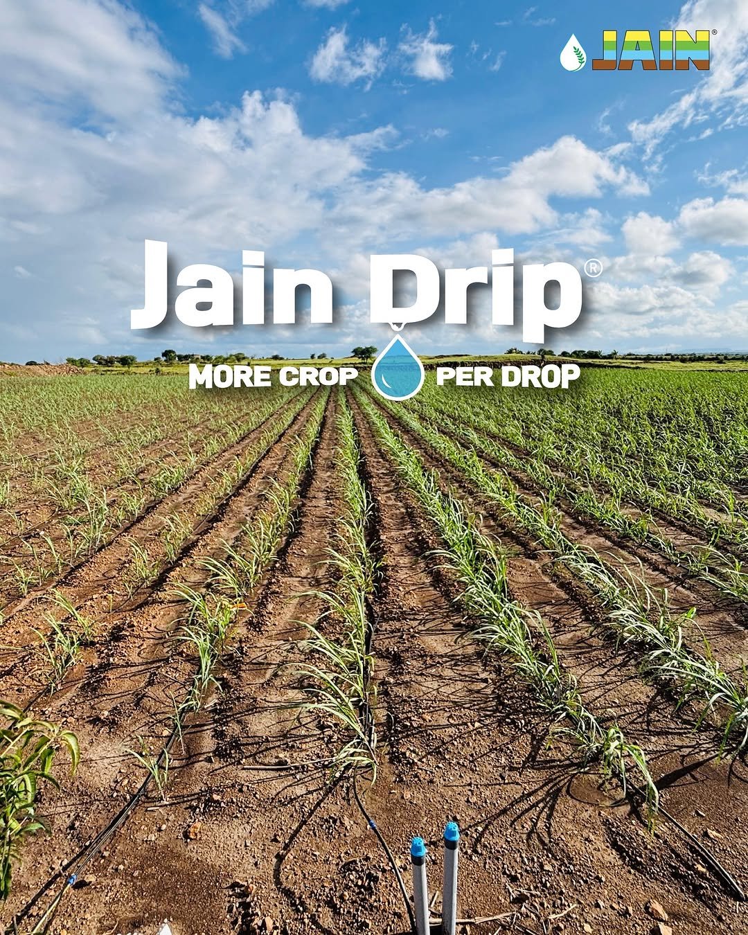 Photo by Jain Irrigation Systems Ltd. on January 10, 2026. May be an image of poster and text that says 'ተቅላር ΙΑΙΝ Jain Prip 北人 MORE CROP PER DROP'.