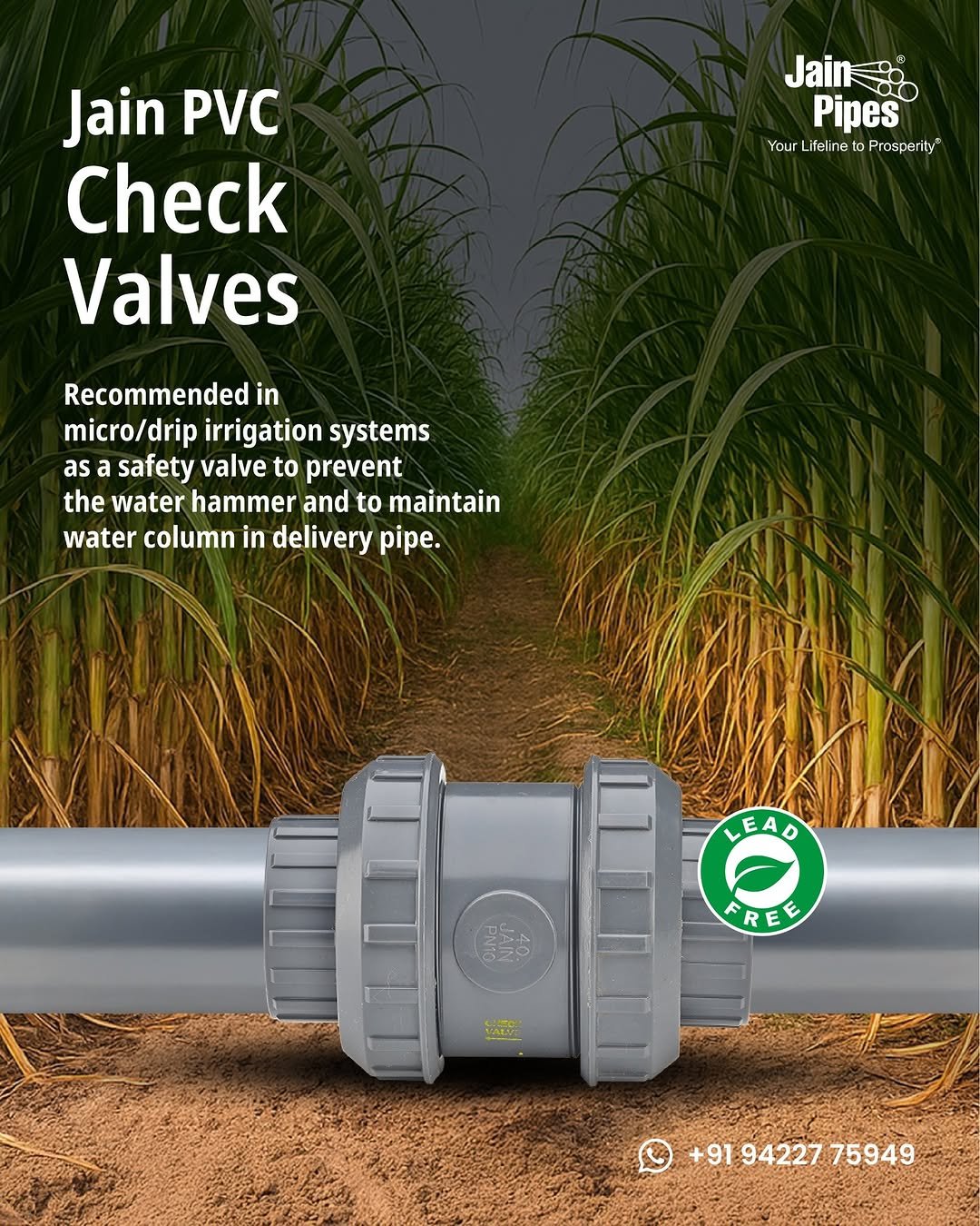 Photo shared by Jain Pipes on November 25, 2025 tagging @jainirrigation_. May be an image of ‎sprinkler, water filter and ‎text that says '‎Jain PVC Check Valves Jaing Jain Pipes Your Lireline YourLifelinePresperity to O Prosperity Recommended in micro/drip irrigation systems as a safety valve to prevent the water hammer and to maintain water column in delivery pipe. LEAD FREE ن E NALV +919422775949 +91 94227 75949‎'‎‎.