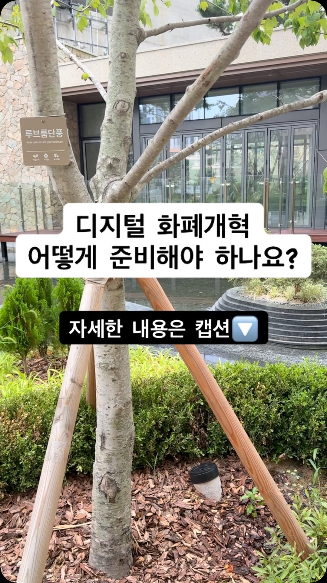 jajumom_official 게시물 이미지: 🙋🏻♀️돈이 되는 모든 정보를 공유하는 자주맘입니다!
“현금이...