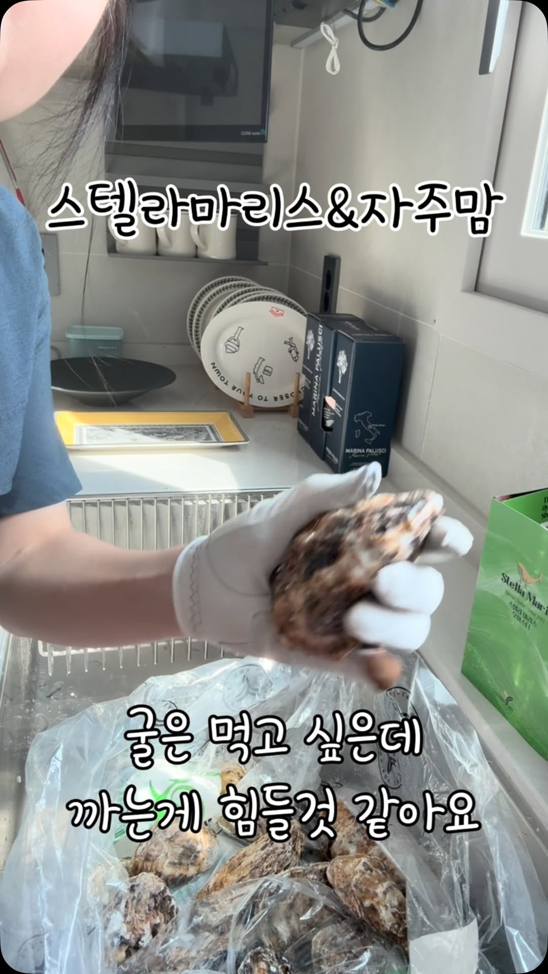 jajumom_official 게시물 이미지: 🙋🏻‍♀️돈이 되는 모든 정보를 공유하는 자주맘입니다!
스텔라마리스 생굴, 먹고...