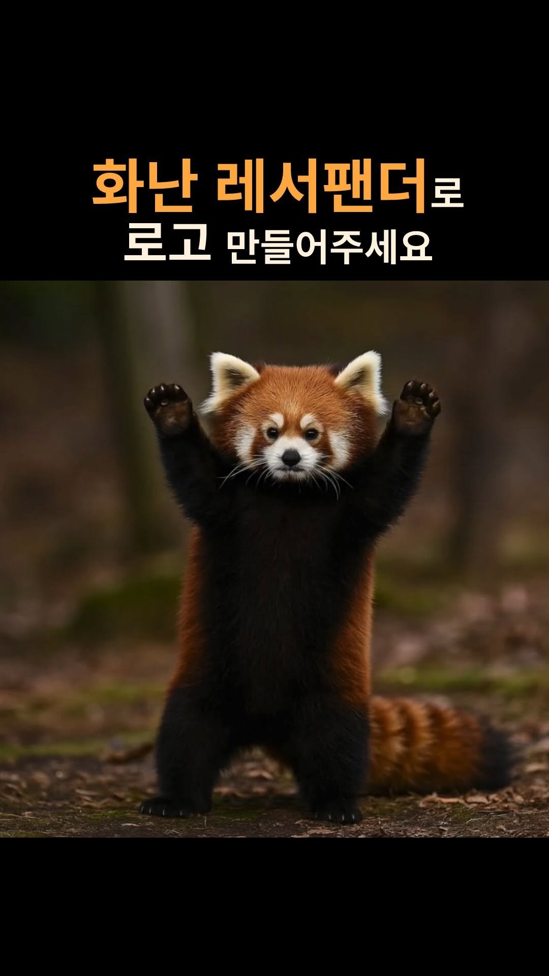 jakamut_origine 게시물 이미지: 레서팬더 무서운 동물이네,,🫠 작업 전 사진 찾아보다가 심장에 무리...