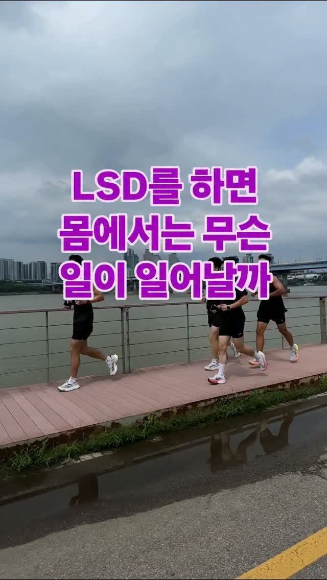 james_run_run 게시물 이미지: LSD(Long Slow Distance)는 단순히 천천히 오래 뛰는 훈련이...