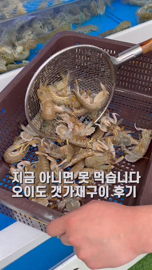 jameslee0911 게시물 이미지: 지금 아니면 못먹습니다. 오이도에 가서 조개구이만 먹으면 손해로 4~5월 한정판매...