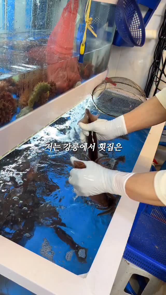 jameslee0911 게시물 이미지: 저는 강릉에서 무조건 여기만 갑니다. 가성비 끝내주고 바가지 없기로 유명한 강릉...