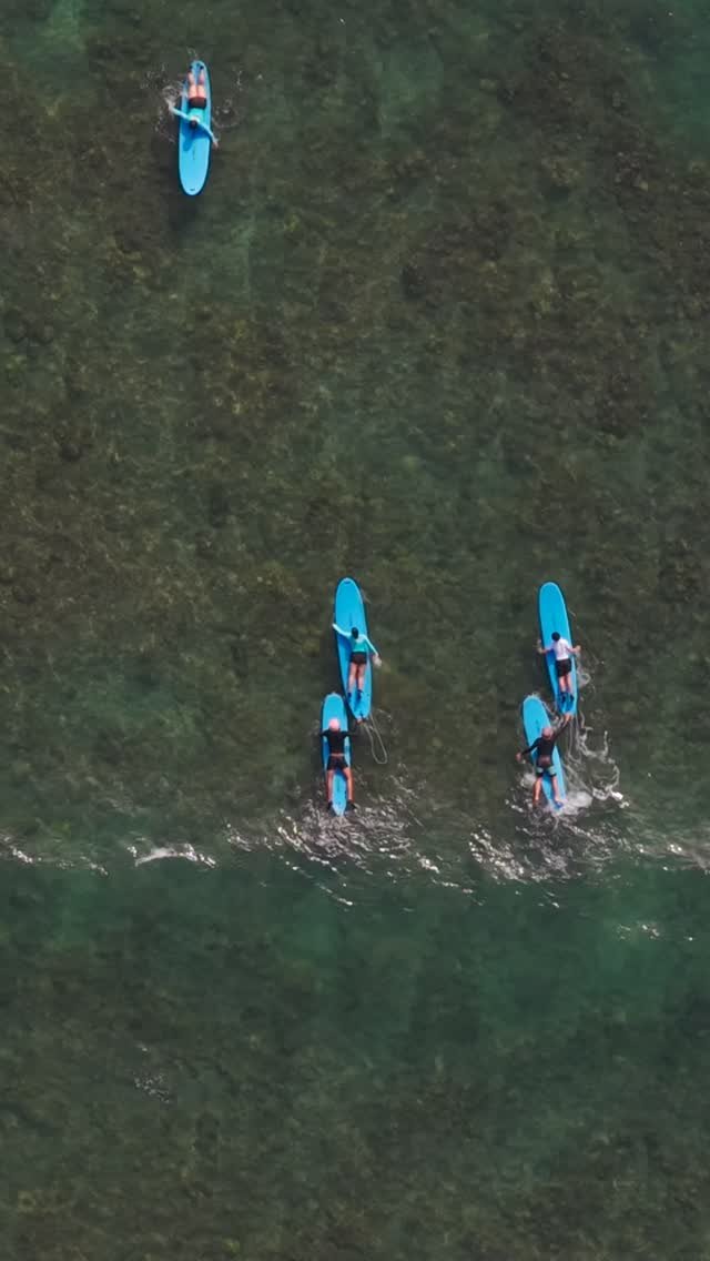 jamieobriensurfexperience 게시물 이미지: Surfing through the holidays 🏄‍♀️🏄‍♂️...